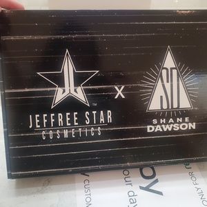 Shane dawson mirror pig